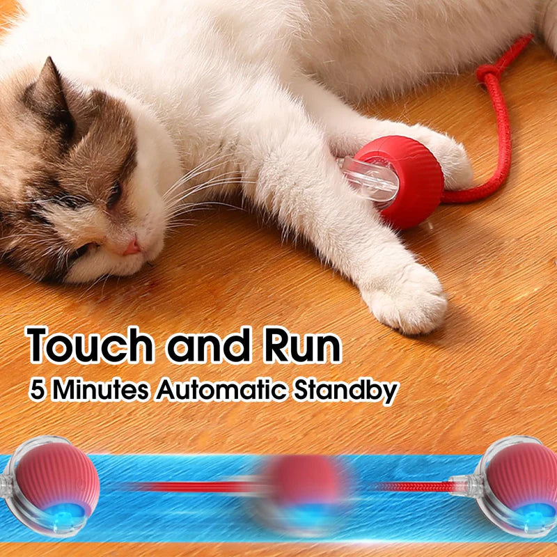 Eptchn smart chase pet toy ball|Cats and Pets