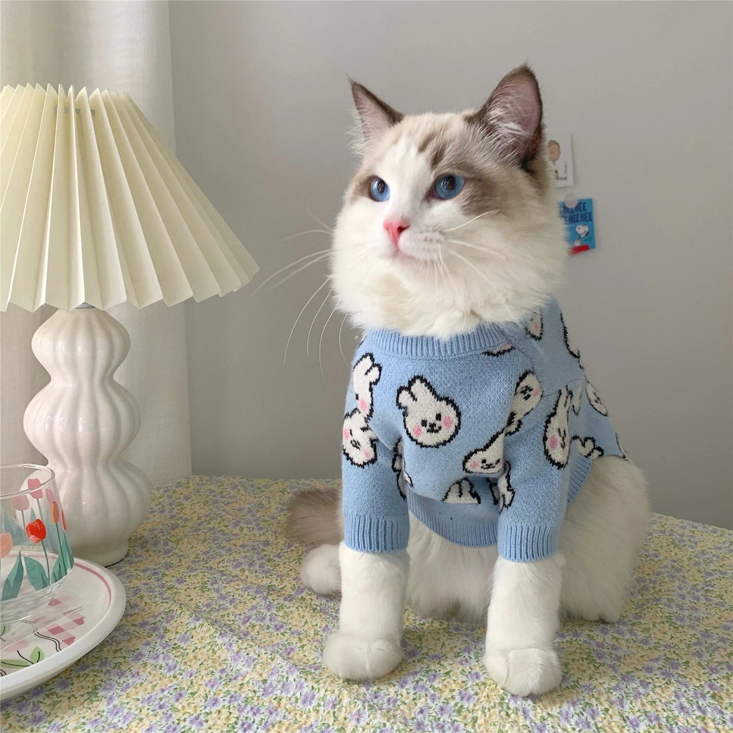 Pull en tricot motif lapin | Pour chiens et chats
