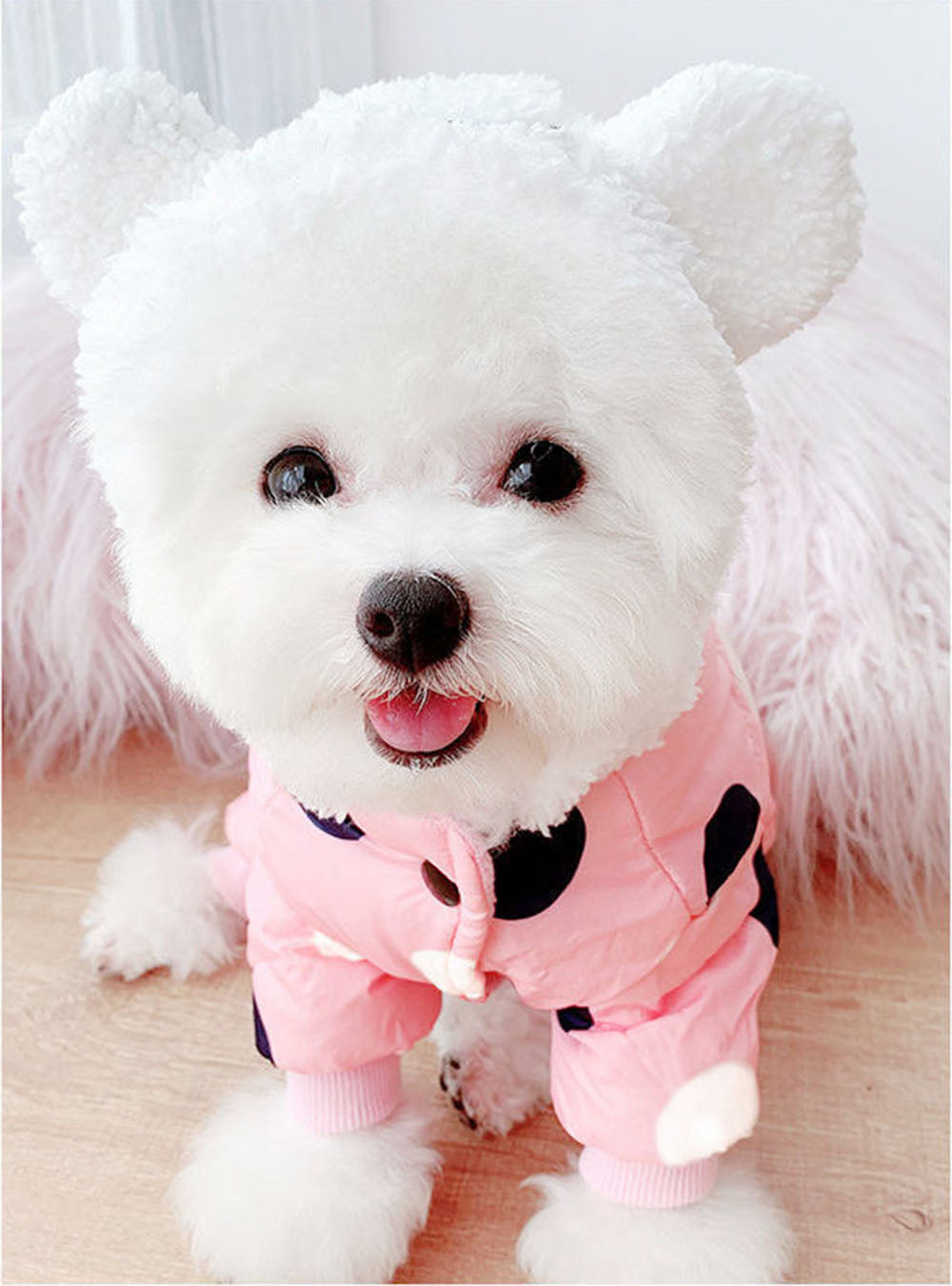 Combinaison imperméable Margot | Pour chiens et chats
