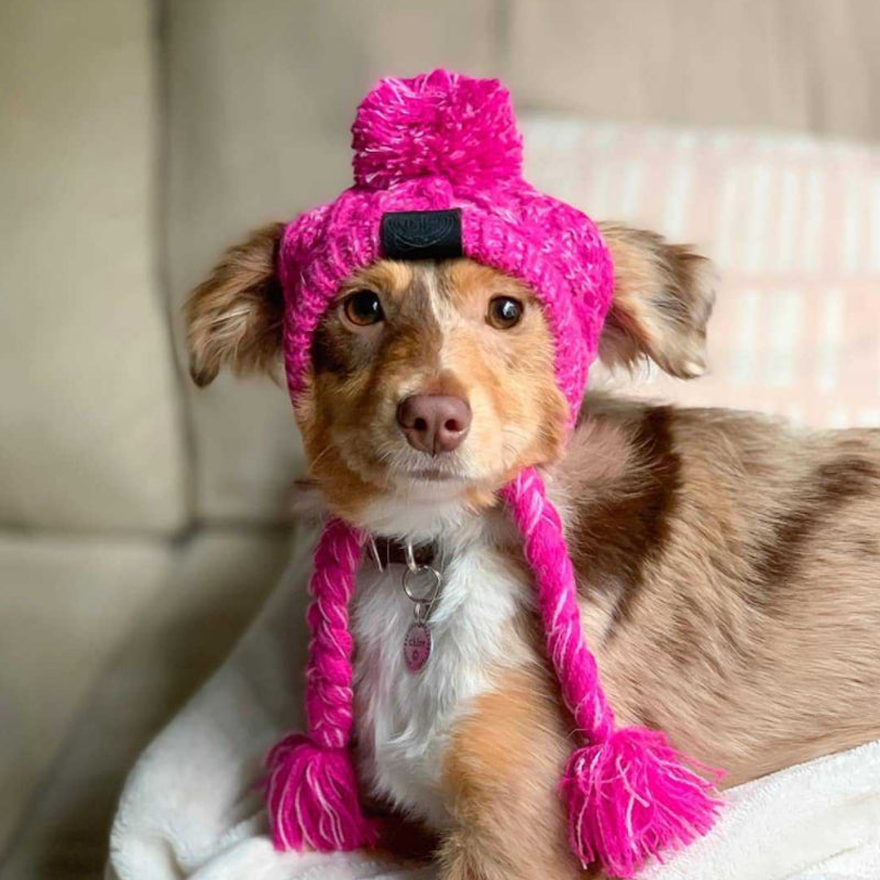 Chapeau pour animaux | Pour chiens et chats