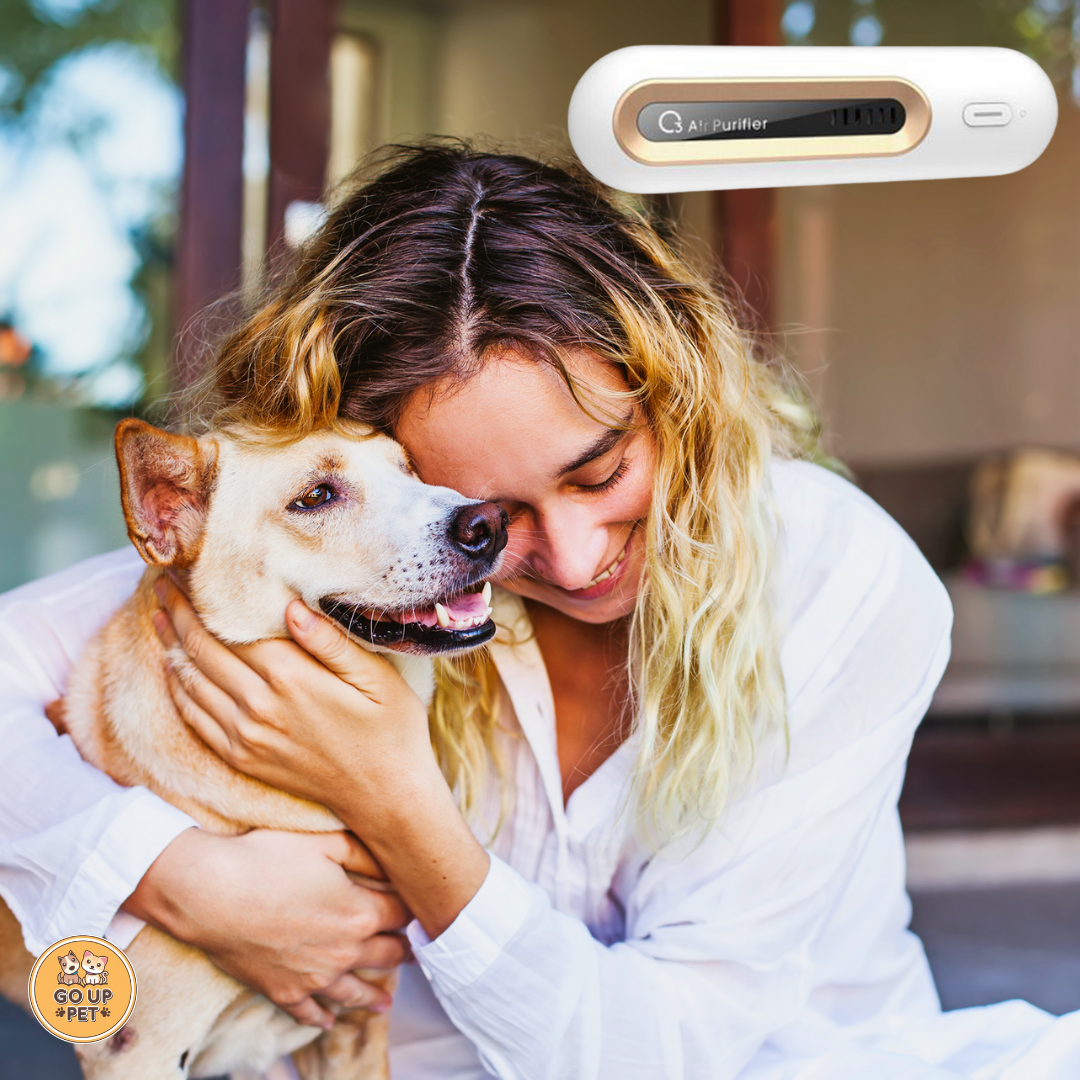 Pet Odor Remover