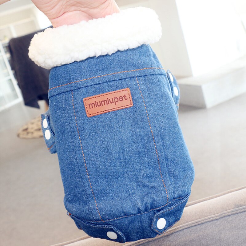 Veste en jean | Pour chiens