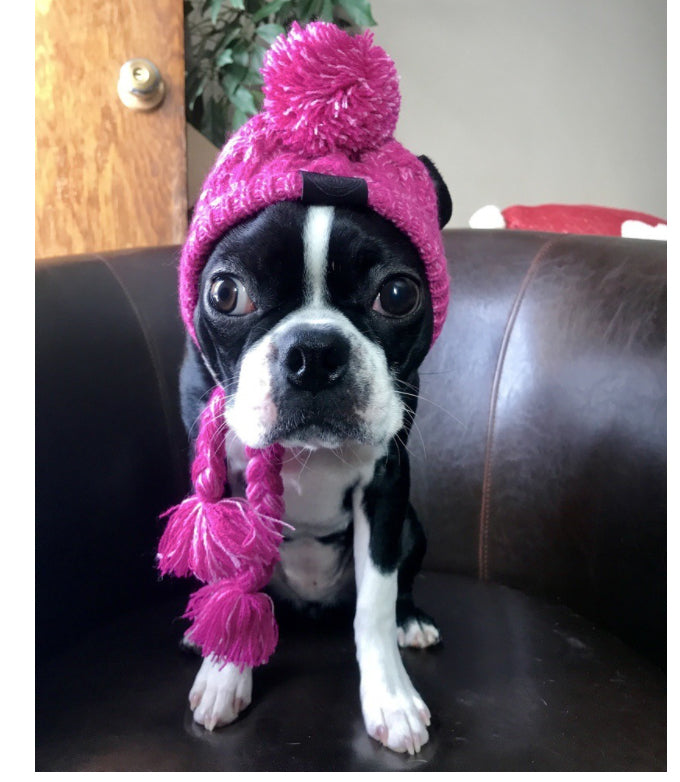 Chapeau pour animaux | Pour chiens et chats