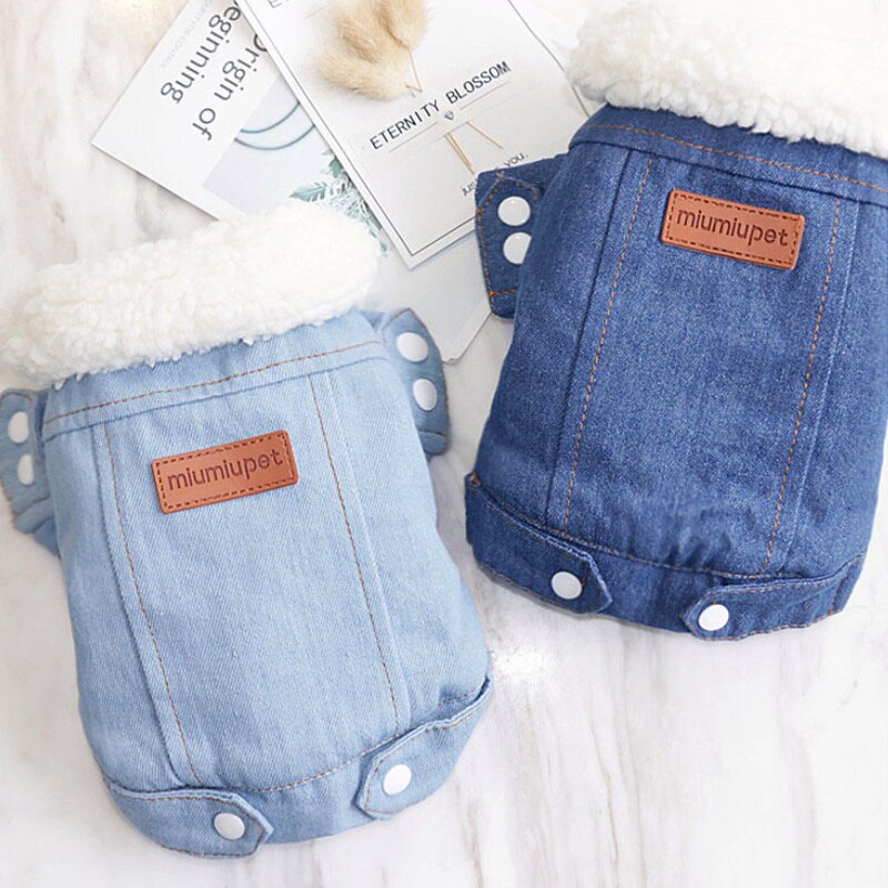 Veste en jean | Pour chiens