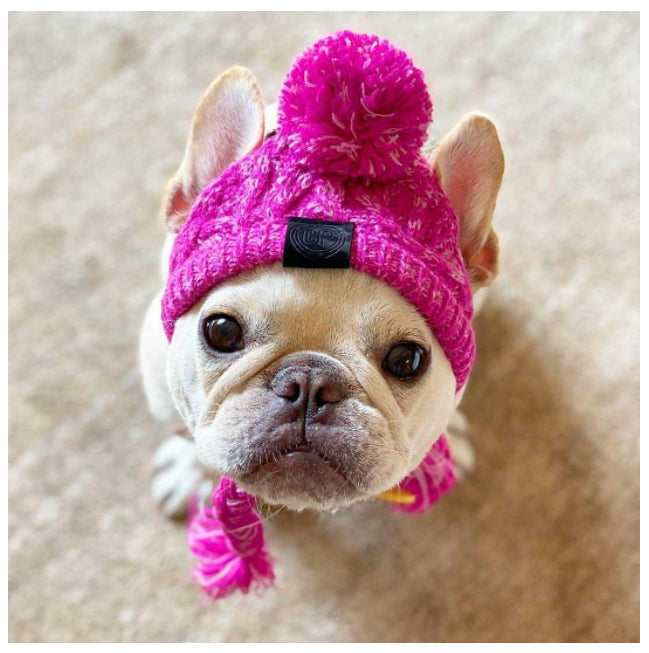 Chapeau pour animaux | Pour chiens et chats
