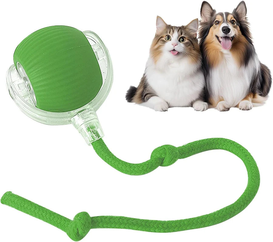 Eptchn smart chase pet toy ball|Cats and Pets