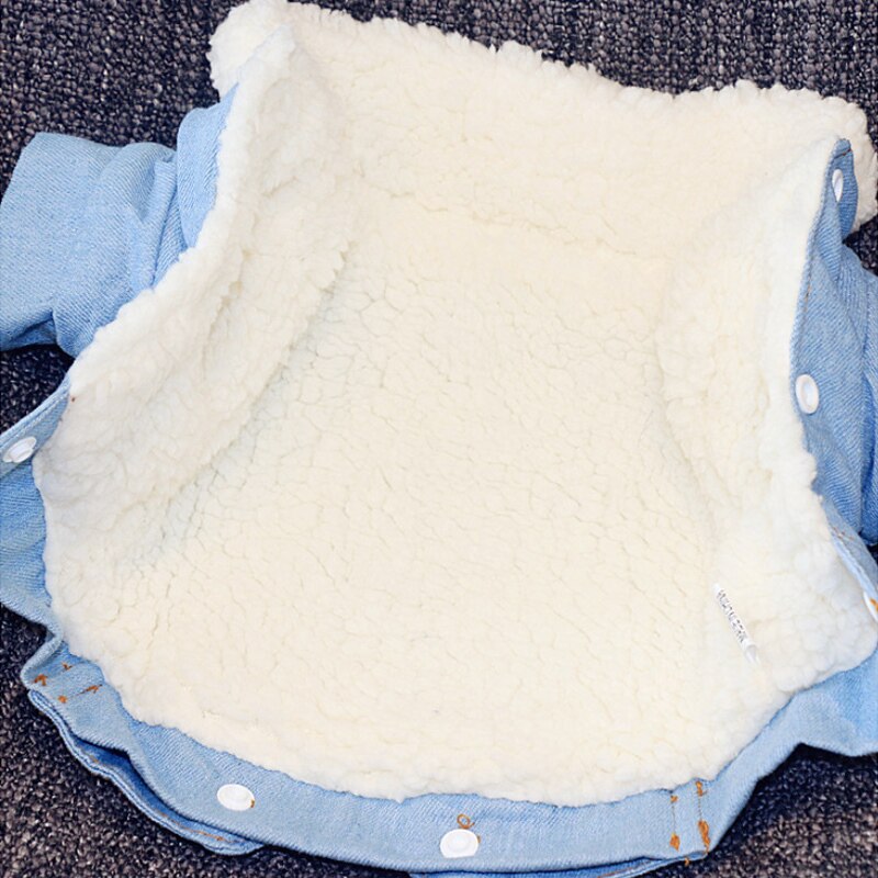 Veste en jean | Pour chiens