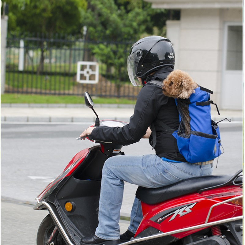Pet Carrier Backpack | For Dogs