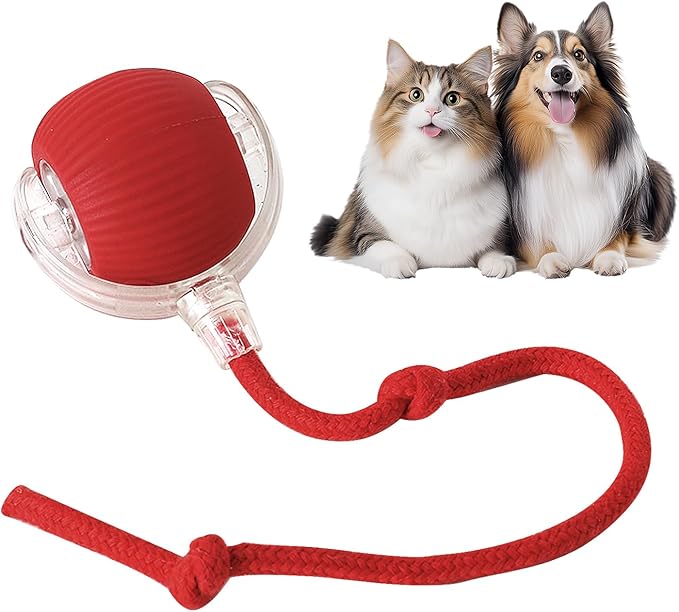 Eptchn smart chase pet toy ball|Cats and Pets