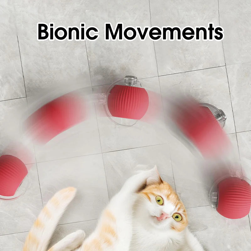 Eptchn smart chase pet toy ball|Cats and Pets