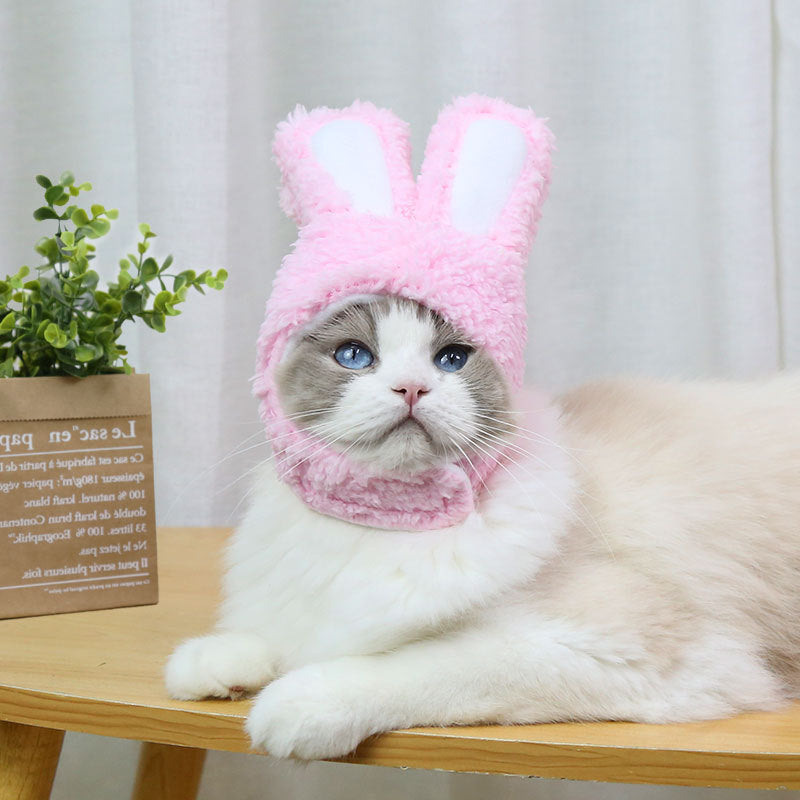 Bonnet oreilles de lapin | Pour chiens et chats