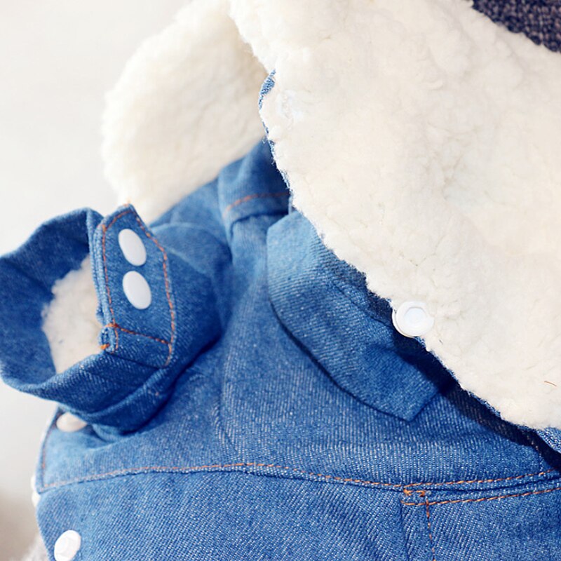 Veste en jean | Pour chiens