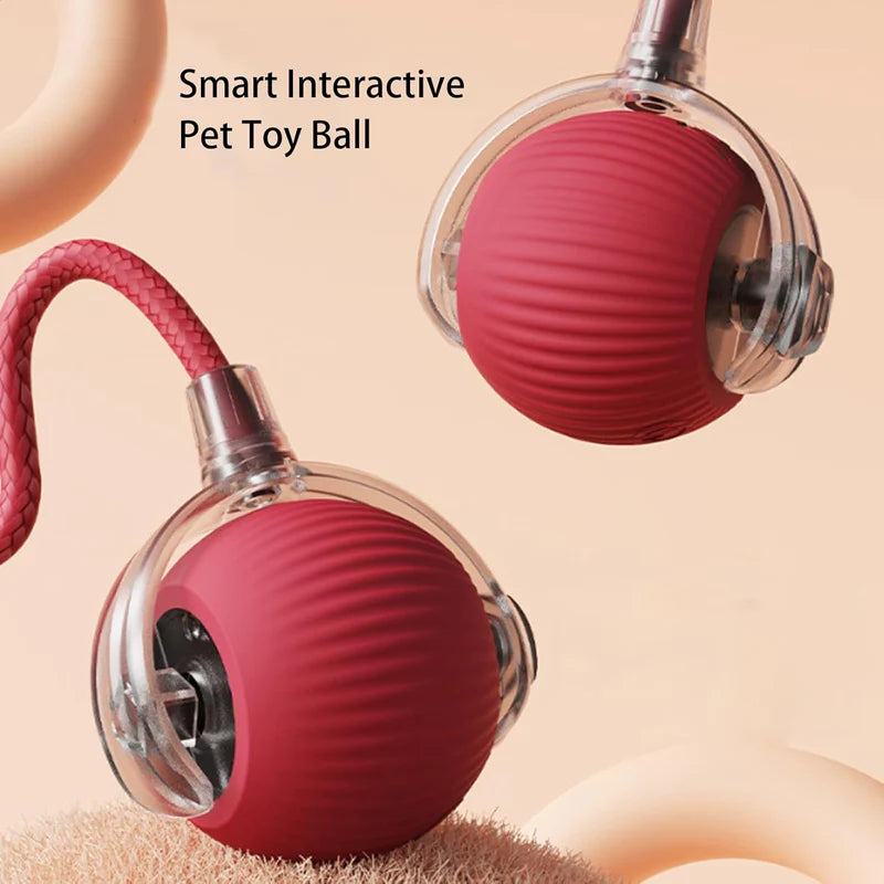Eptchn smart chase pet toy ball|Cats and Pets