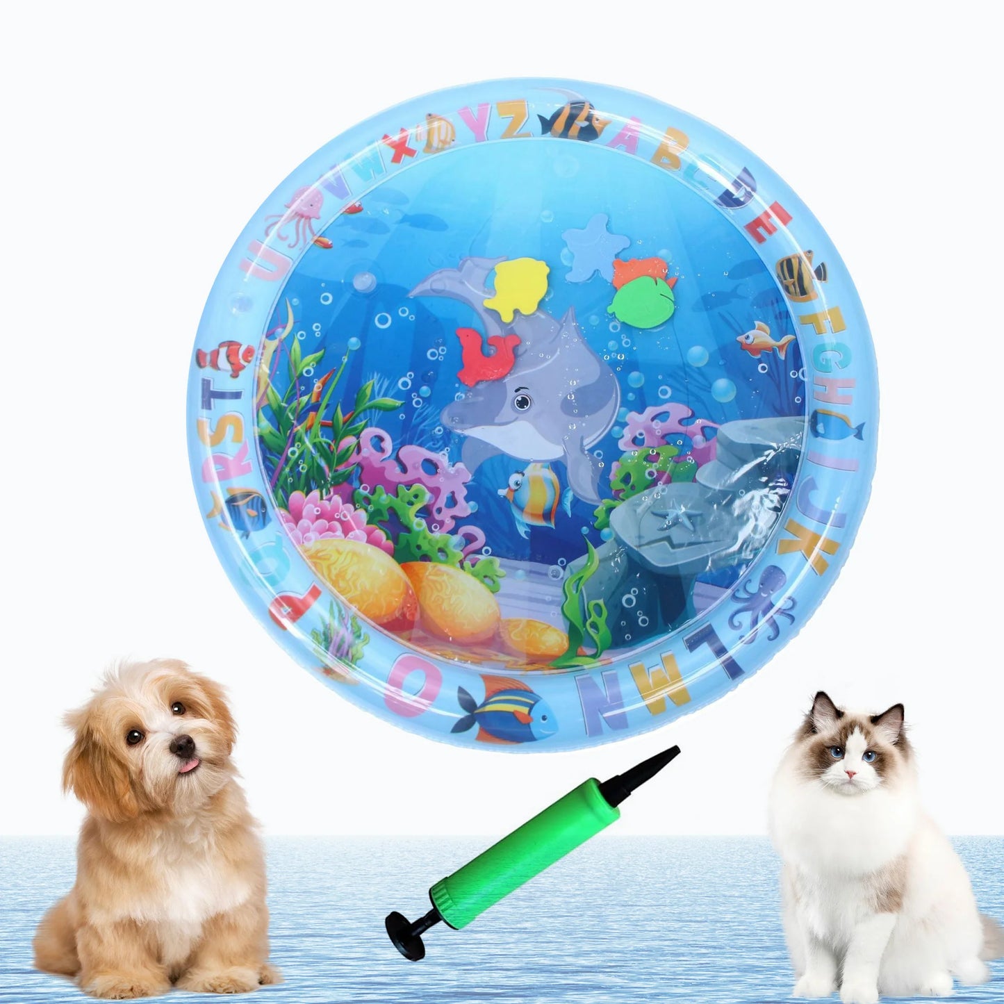 Ocean Breeze Splashiand| Cats and Dogs