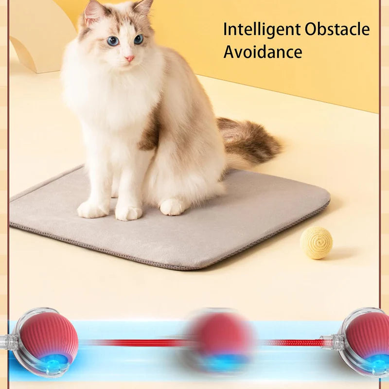 Eptchn smart chase pet toy ball|Cats and Pets