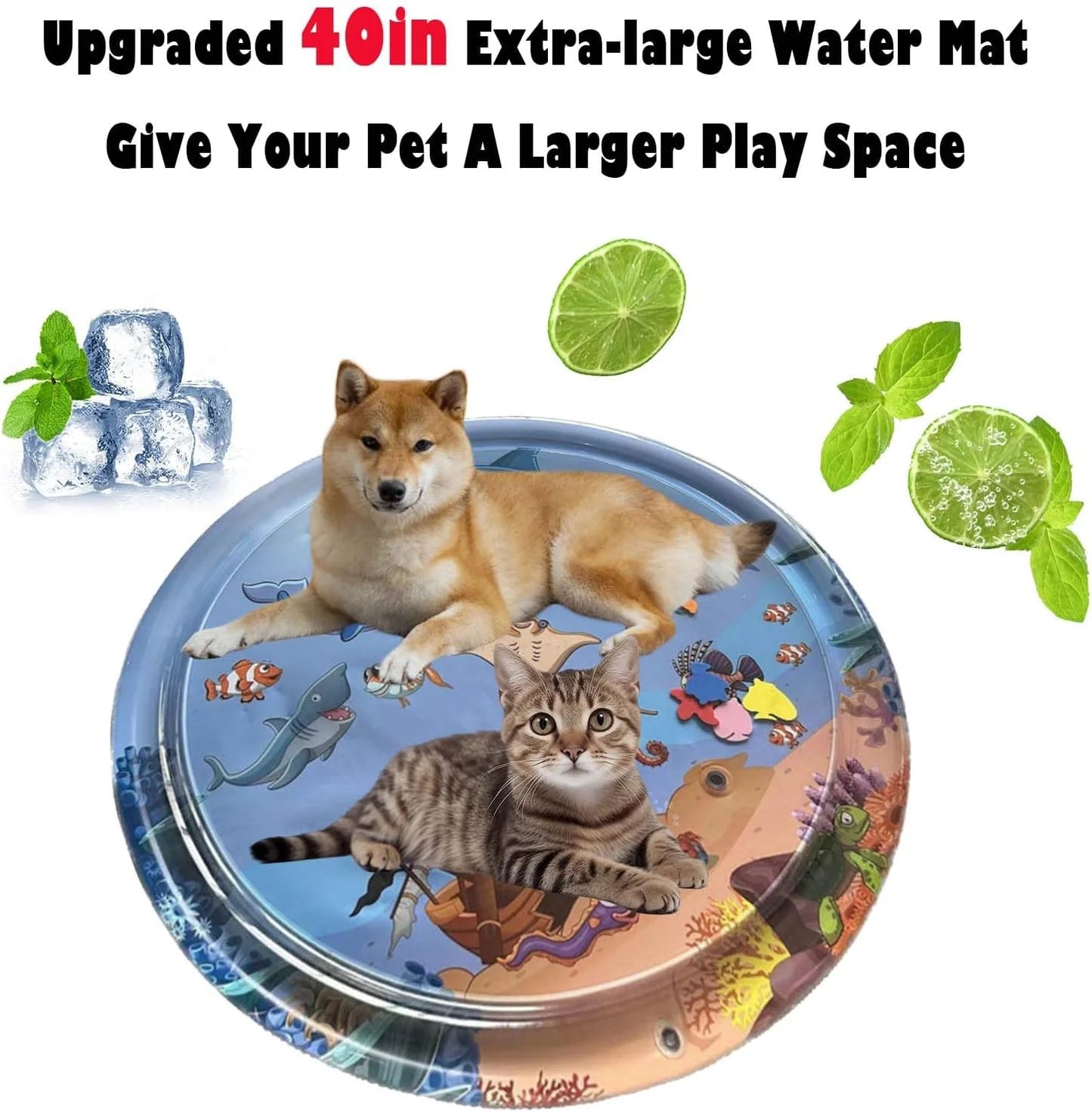 Ocean Breeze Splashiand| Cats and Dogs
