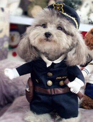 Déguisement de policier pour animaux | Pour chiens et chats