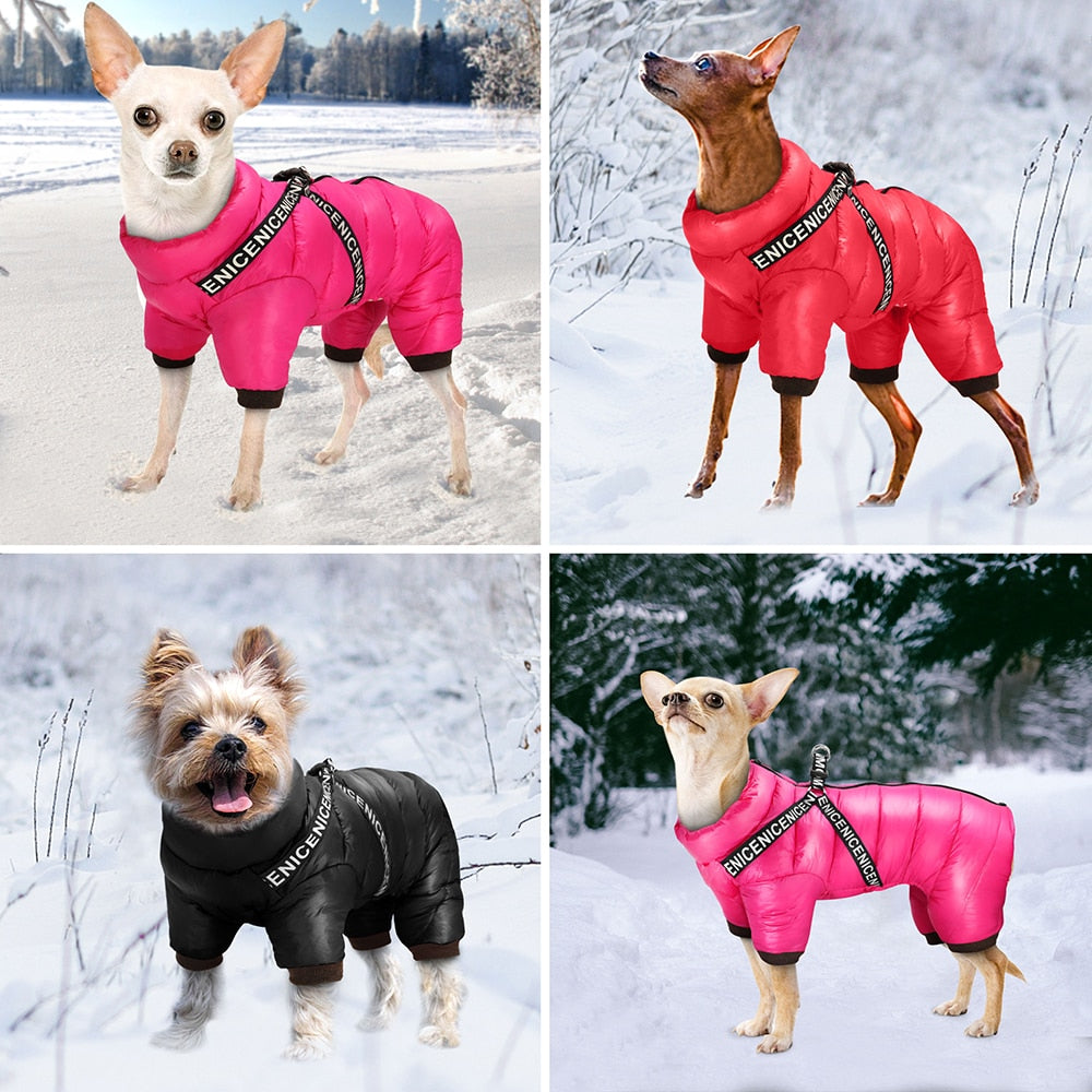 Combinaison chaude pour chien | Pour chien