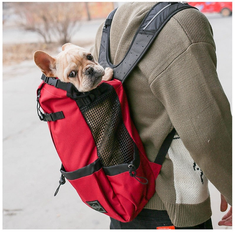 Pet Carrier Backpack | For Dogs