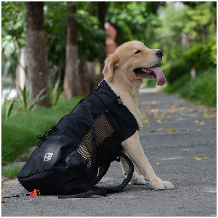 Pet Carrier Backpack | For Dogs