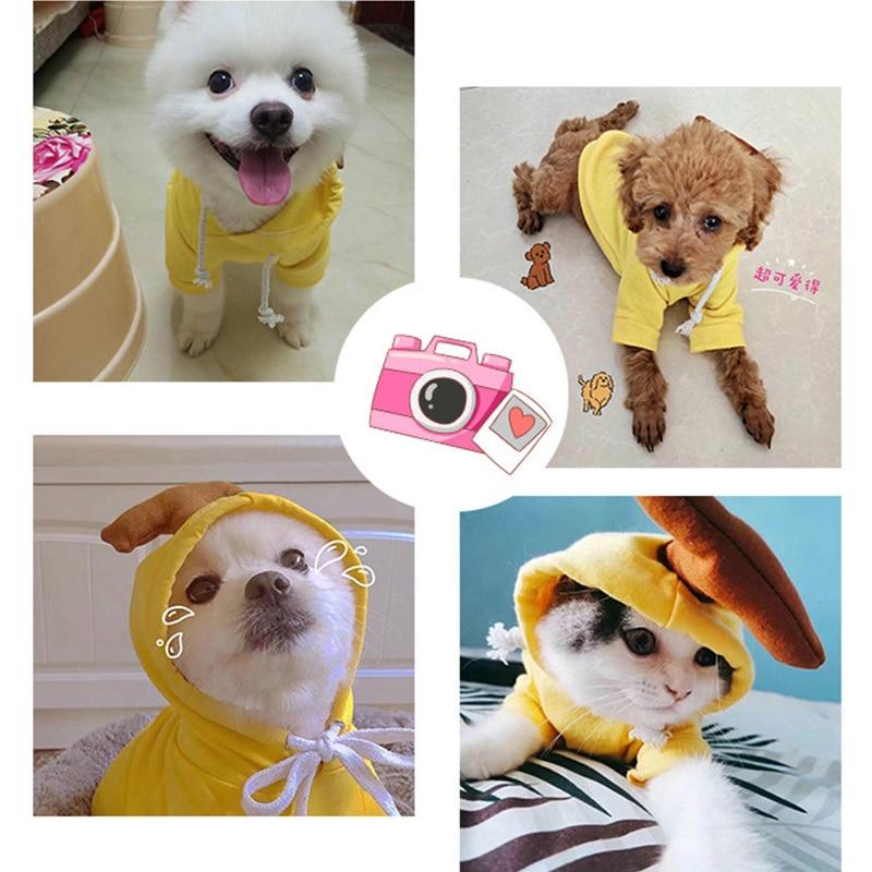 Sweat-shirt fantaisie pour animaux de compagnie | Pour chiens et chats