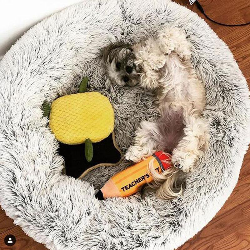 Comfortable Bed for Dogs and Cats