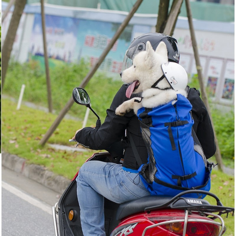 Pet Carrier Backpack | For Dogs