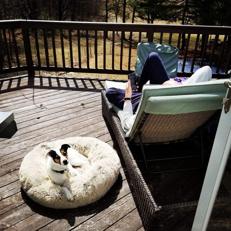 Comfortable Bed for Dogs and Cats