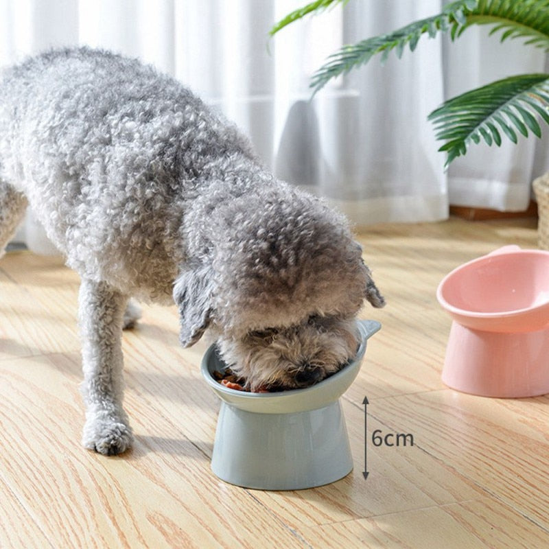 Colorful Elevated Bowl | For Dogs and Cats