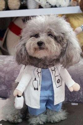 Costume de vétérinaire | Pour chiens et chats