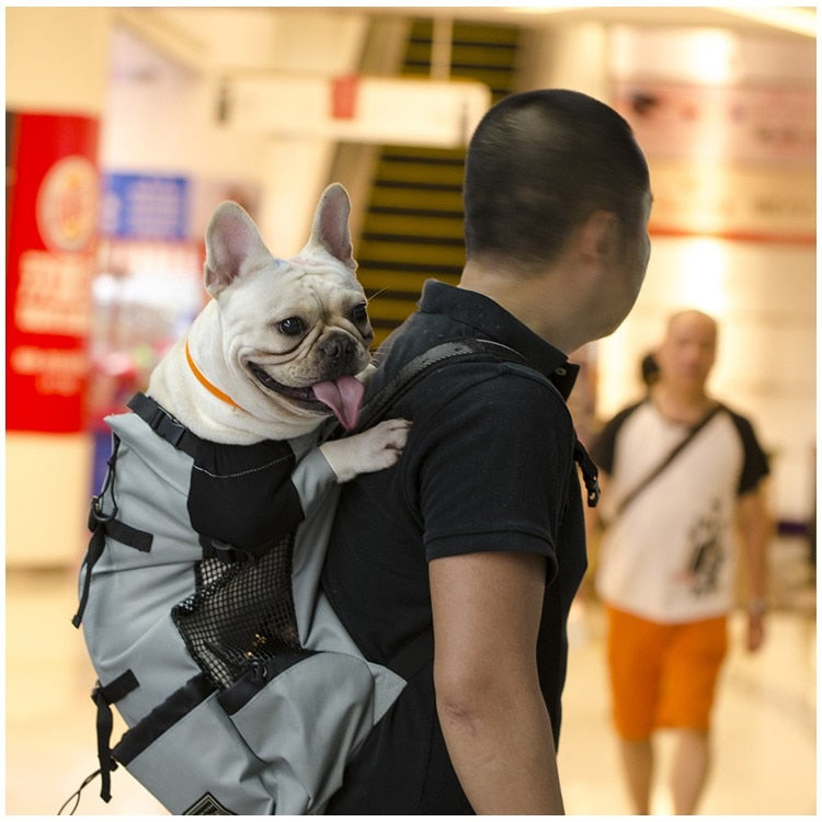 Pet Carrier Backpack | For Dogs