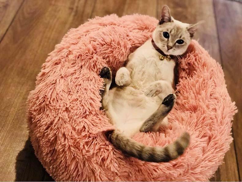 Comfortable Bed for Dogs and Cats