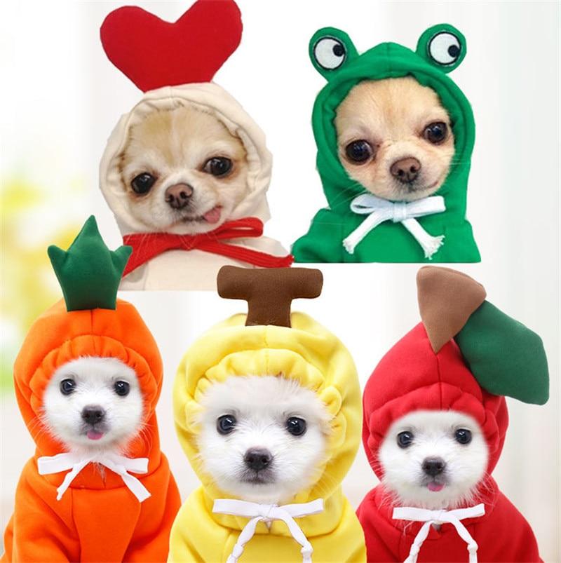 Sweat-shirt fantaisie pour animaux de compagnie | Pour chiens et chats