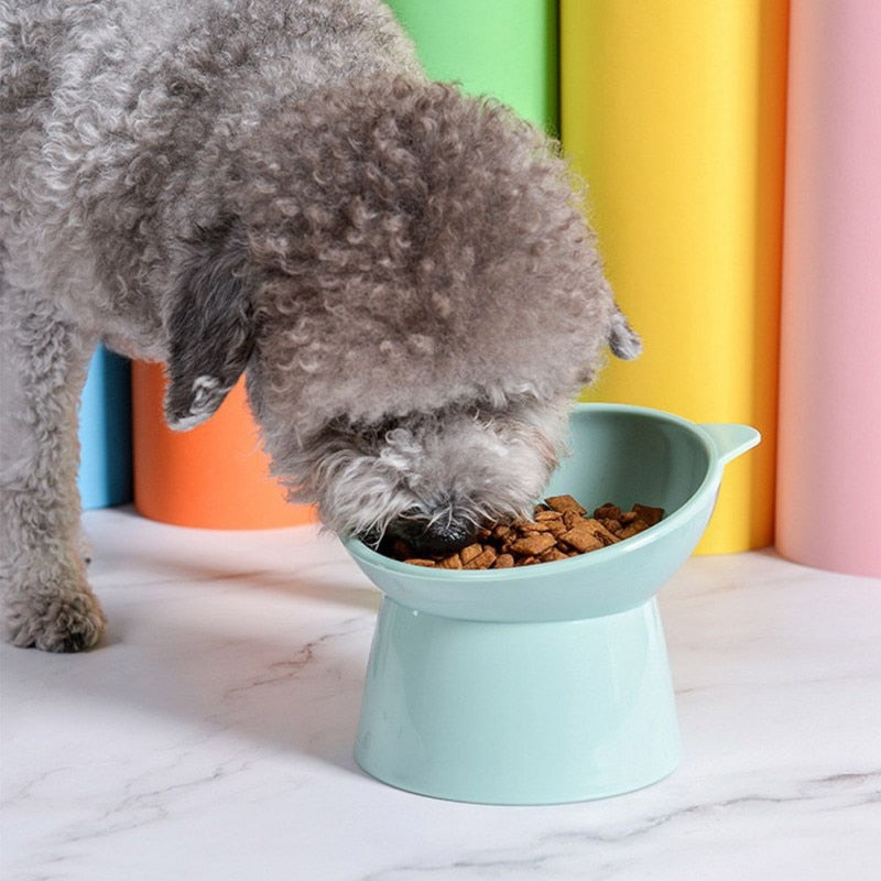 Colorful Elevated Bowl | For Dogs and Cats