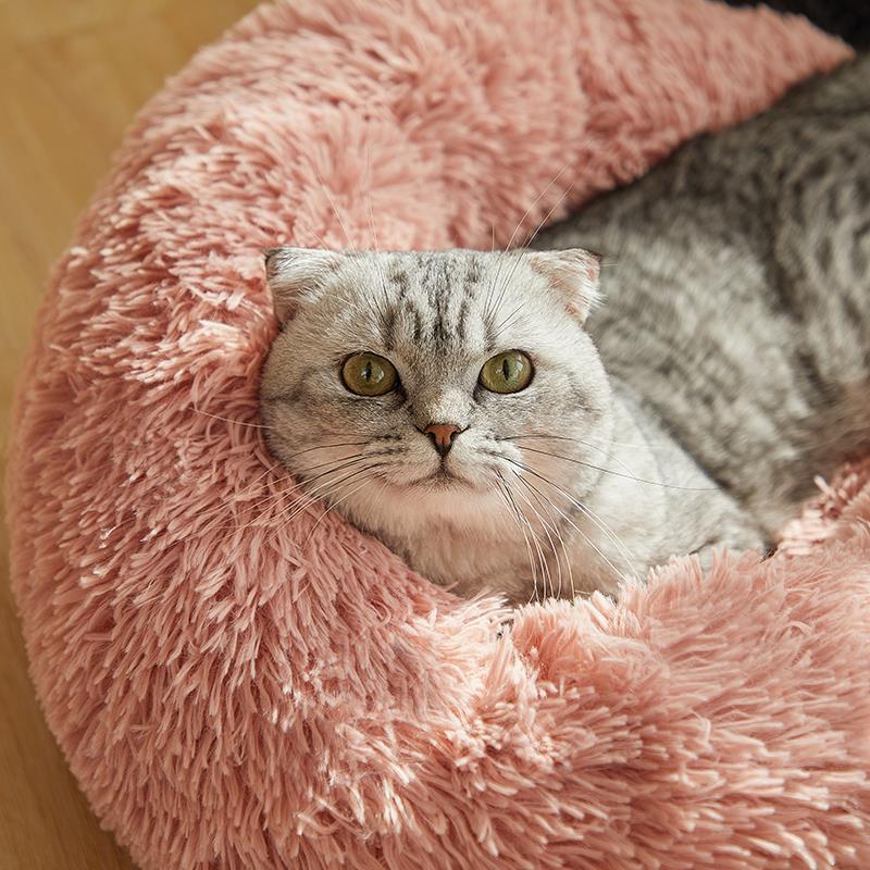 Comfortable Bed for Dogs and Cats