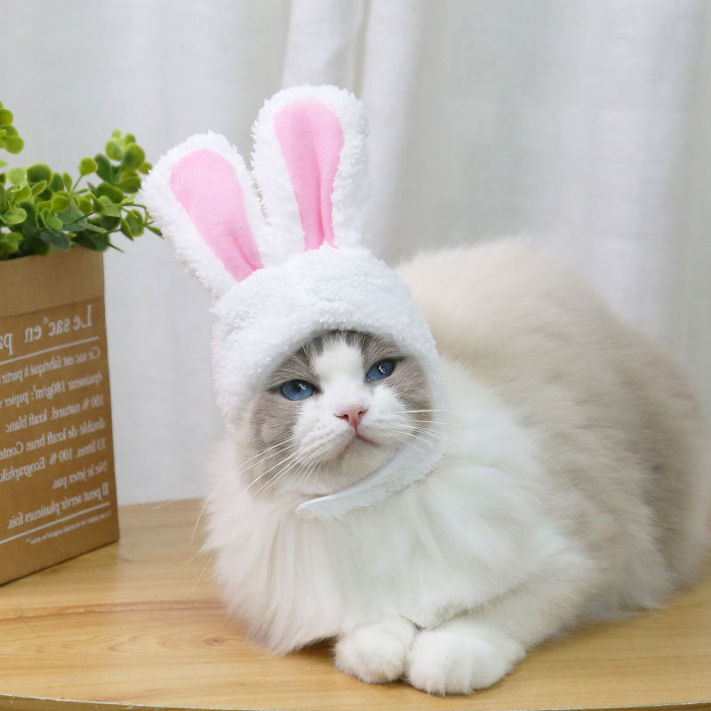 Bonnet oreilles de lapin | Pour chiens et chats