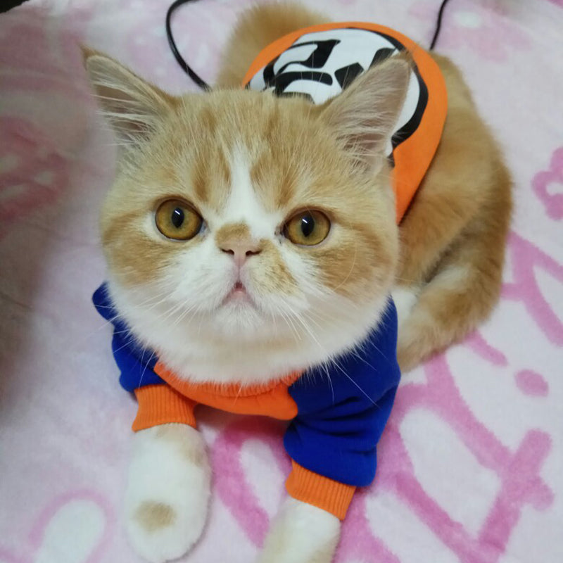 Moletom Pet Goku™ | Kleidung für Katzen