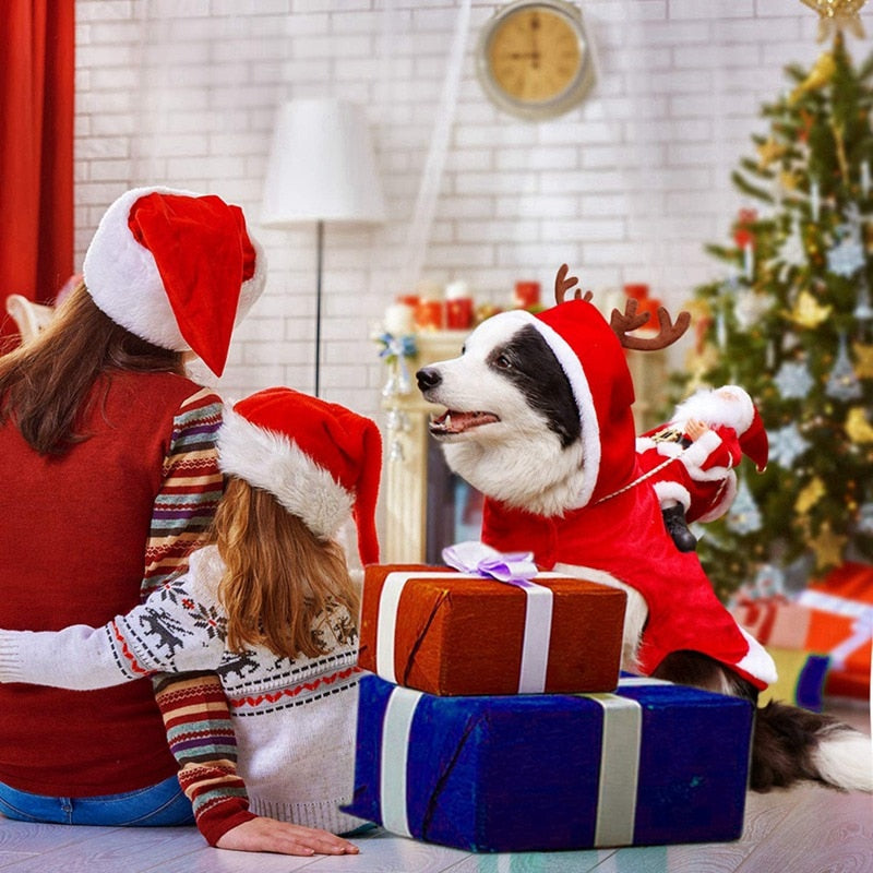 Weihnachtsmannkostüm für Haustiere | Für Hunde
