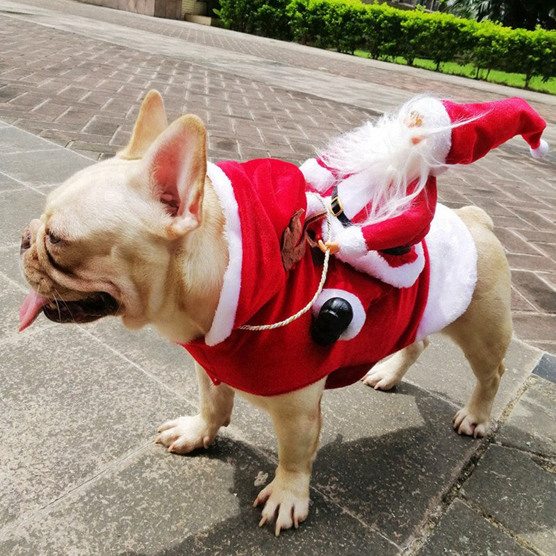 Weihnachtsmannkostüm für Haustiere | Für Hunde