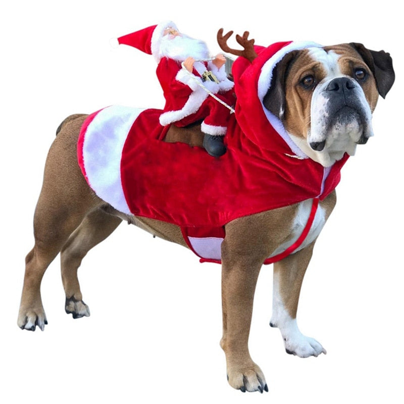 Weihnachtsmannkostüm für Haustiere | Für Hunde