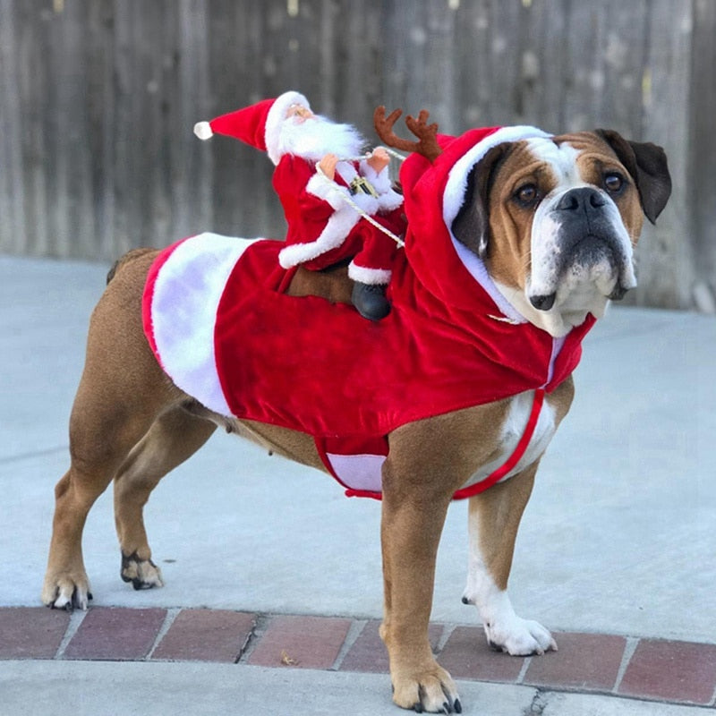 Weihnachtsmannkostüm für Haustiere | Für Hunde