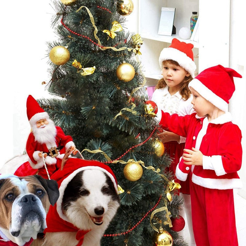Weihnachtsmannkostüm für Haustiere | Für Hunde
