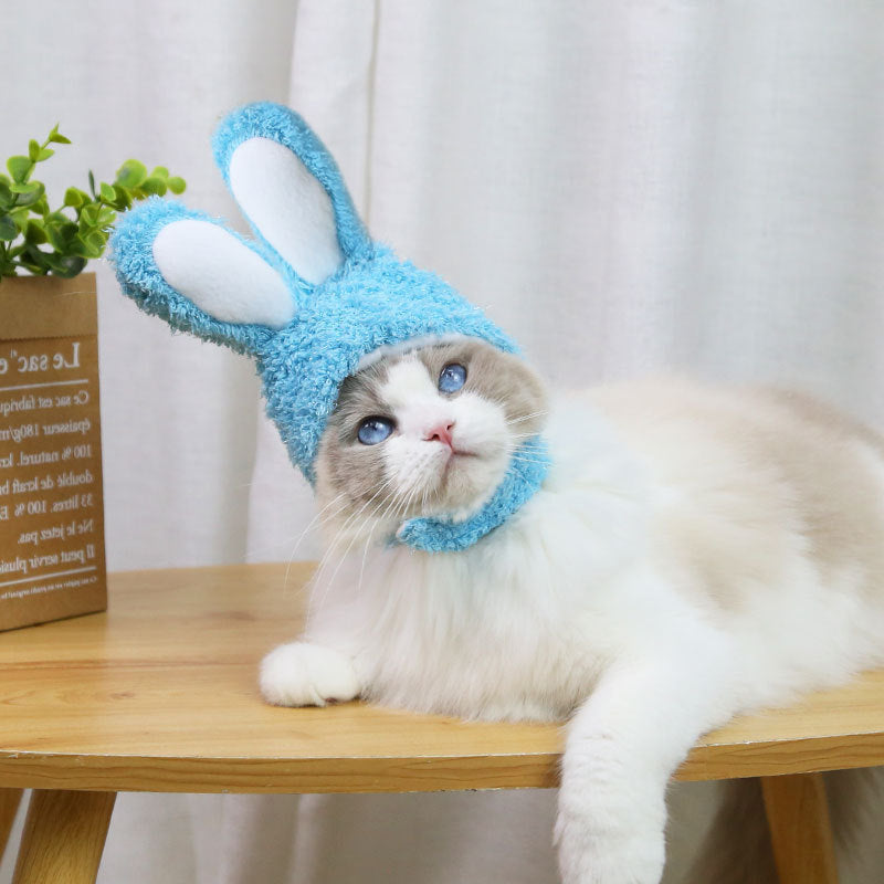 Bonnet oreilles de lapin | Pour chiens et chats