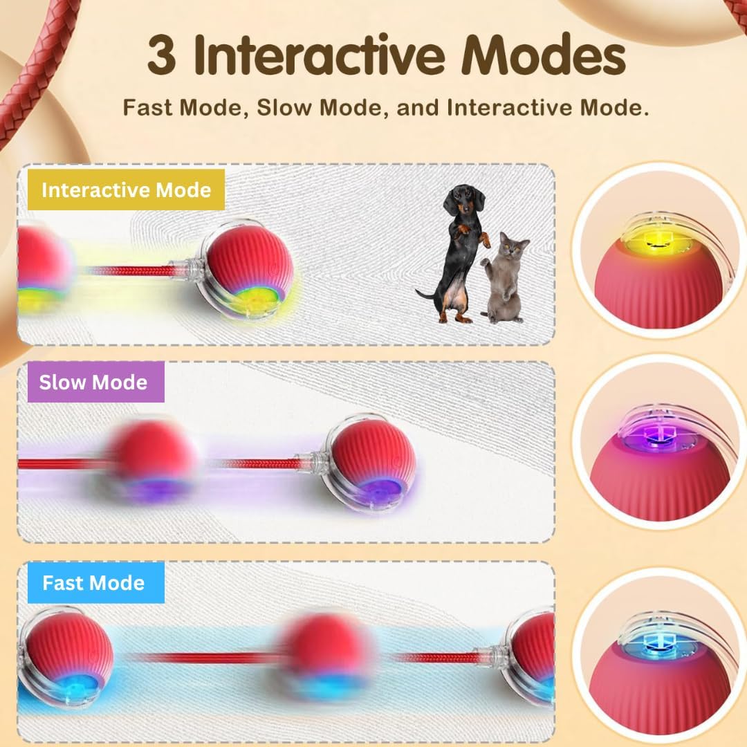 Eptchn smart chase pet toy ball|Cats and Pets