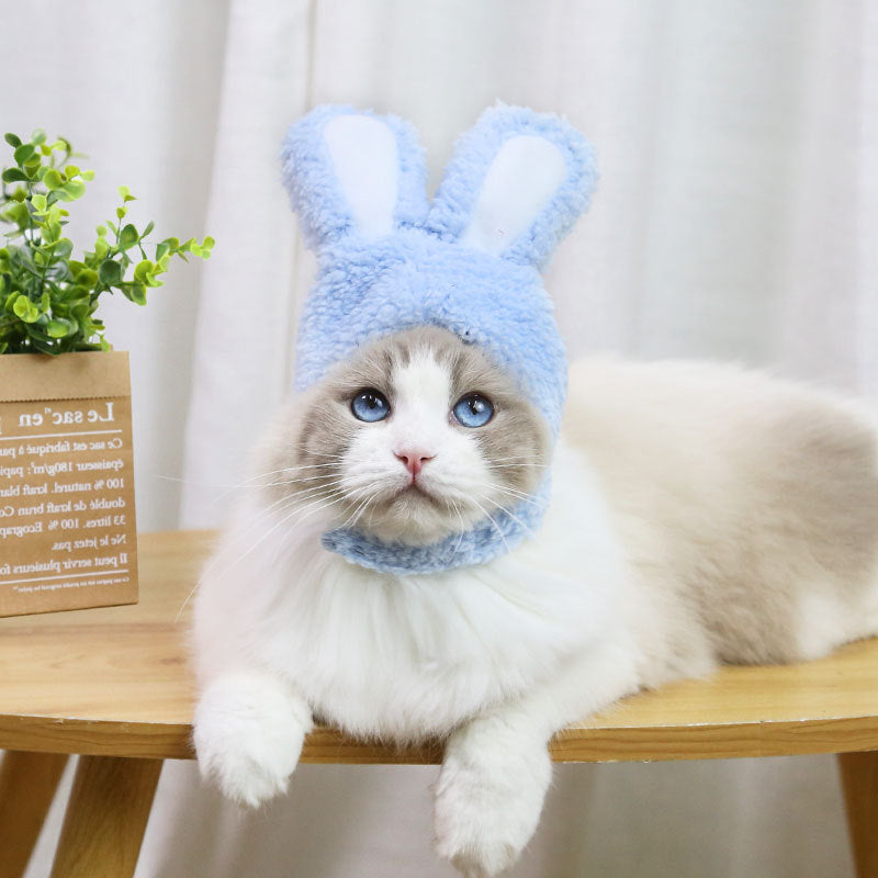 Bonnet oreilles de lapin | Pour chiens et chats