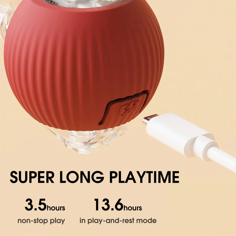 Eptchn smart chase pet toy ball|Cats and Pets
