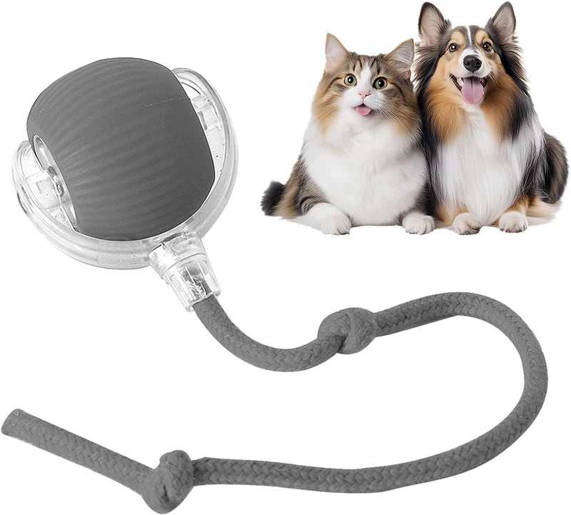 Eptchn smart chase pet toy ball|Cats and Pets