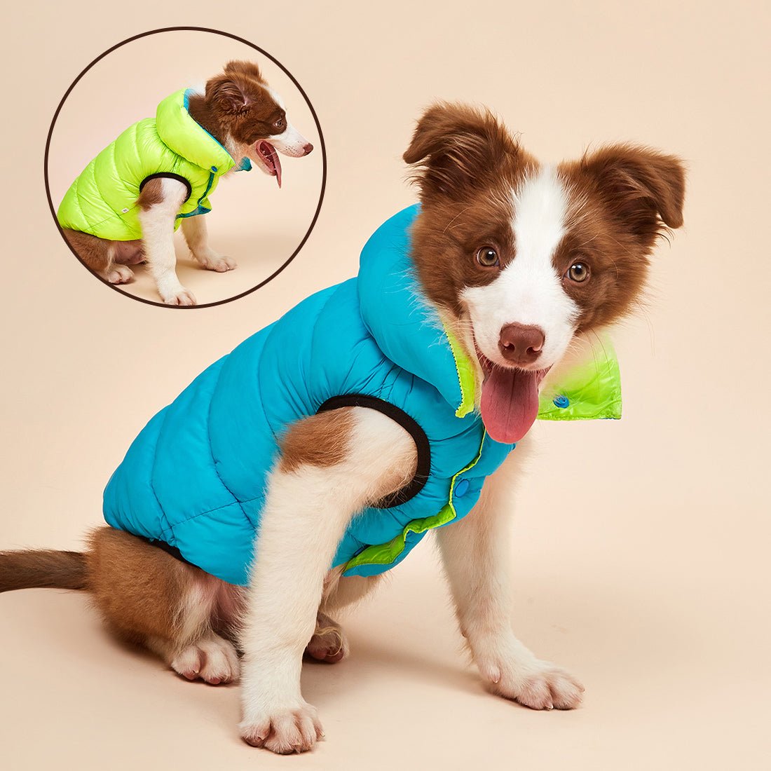 Alby™ Reversible 3-Layer Dog Vest | Dog Clothing