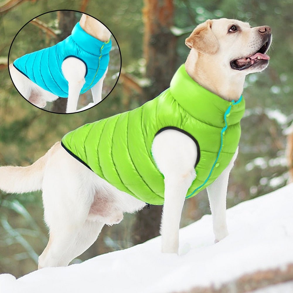 Alby™ Reversible 3-Layer Dog Vest | Dog Clothing