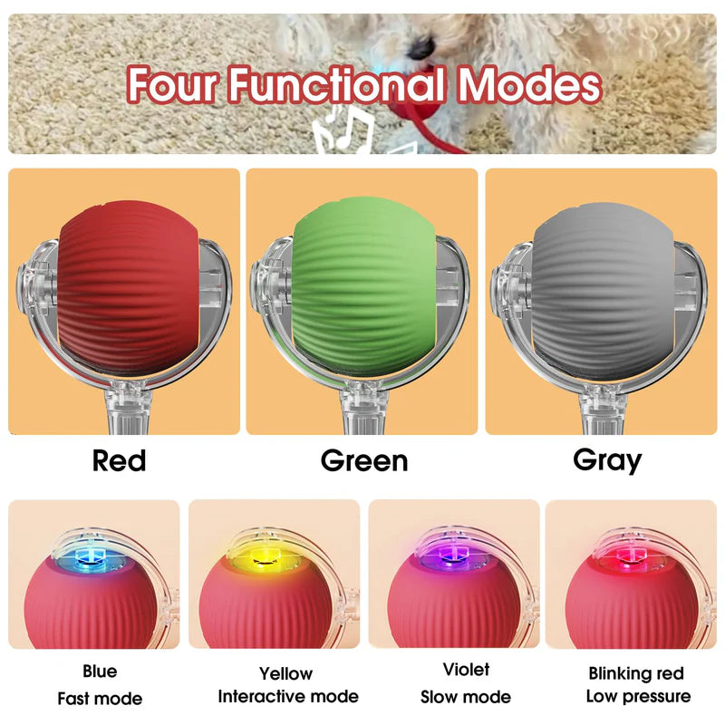 Eptchn smart chase pet toy ball|Cats and Pets